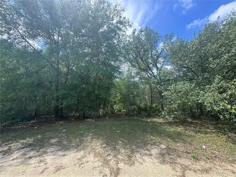 11548 NE 62nd Lane Williston FL 32696