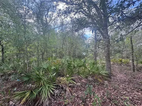 11548 NE 62nd Lane Williston FL 32696