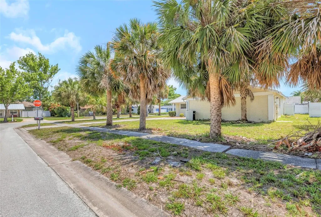 1005 Coldstream Court Tarpon Springs FL 34689