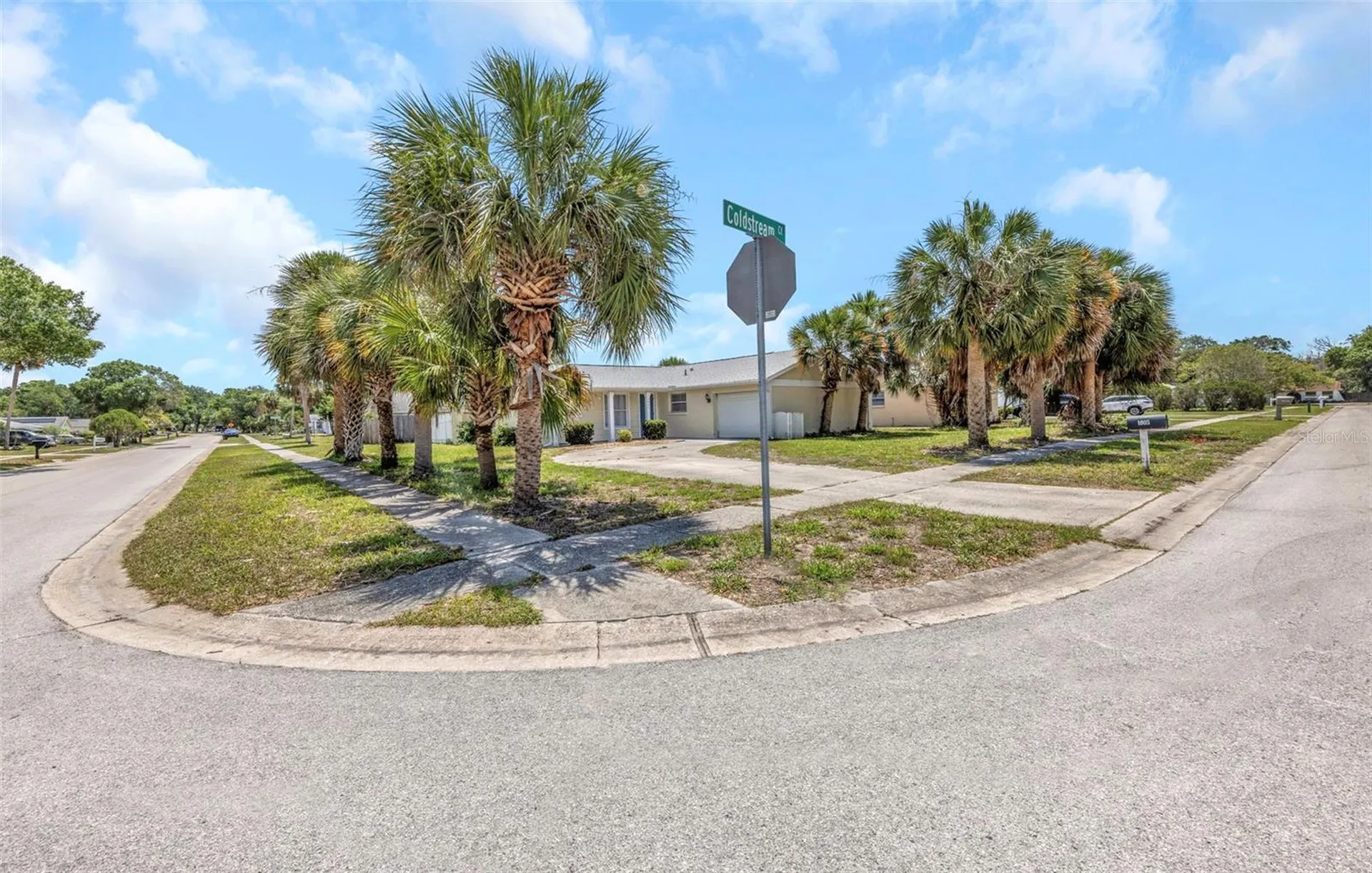 1005 Coldstream Court Tarpon Springs FL 34689