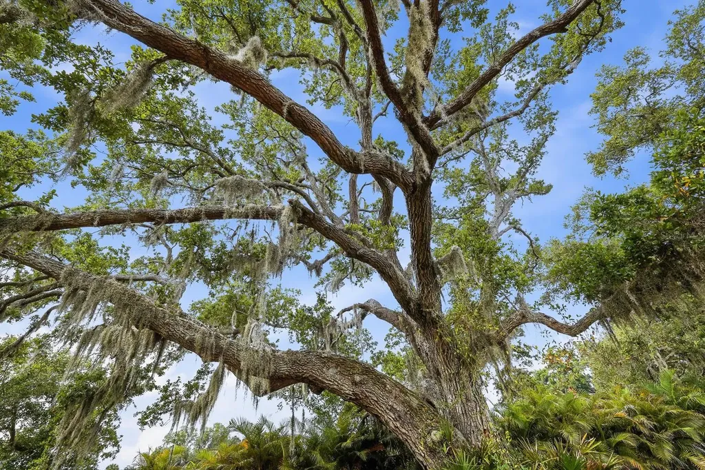 Ranch Road Nokomis FL 34275