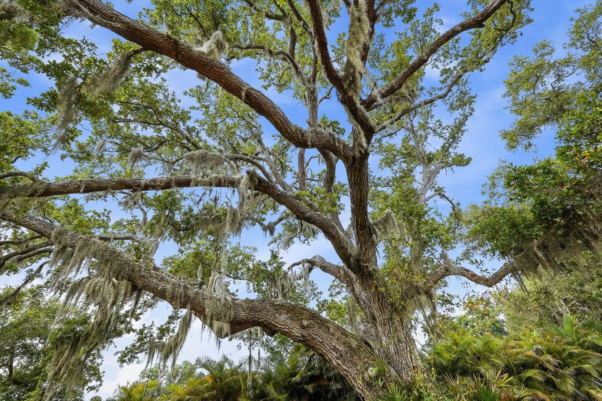 Ranch Road Nokomis FL 34275