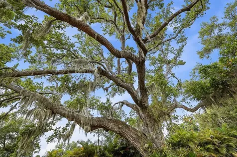 Ranch Road Nokomis FL 34275