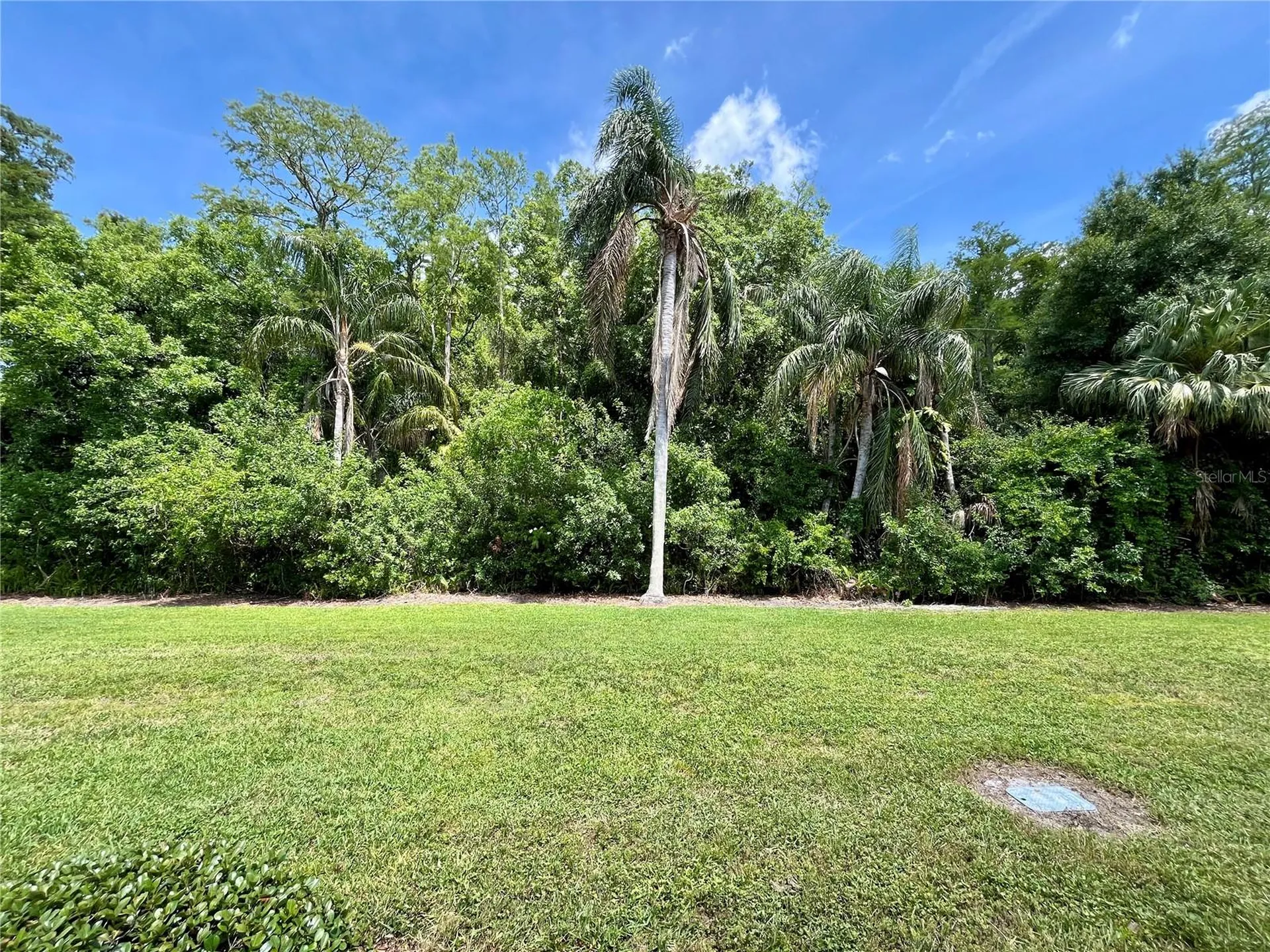 2391 Sumatran Way Clearwater FL 33763