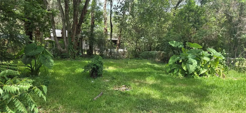 20055 Ruth Street Brooksville FL 34601