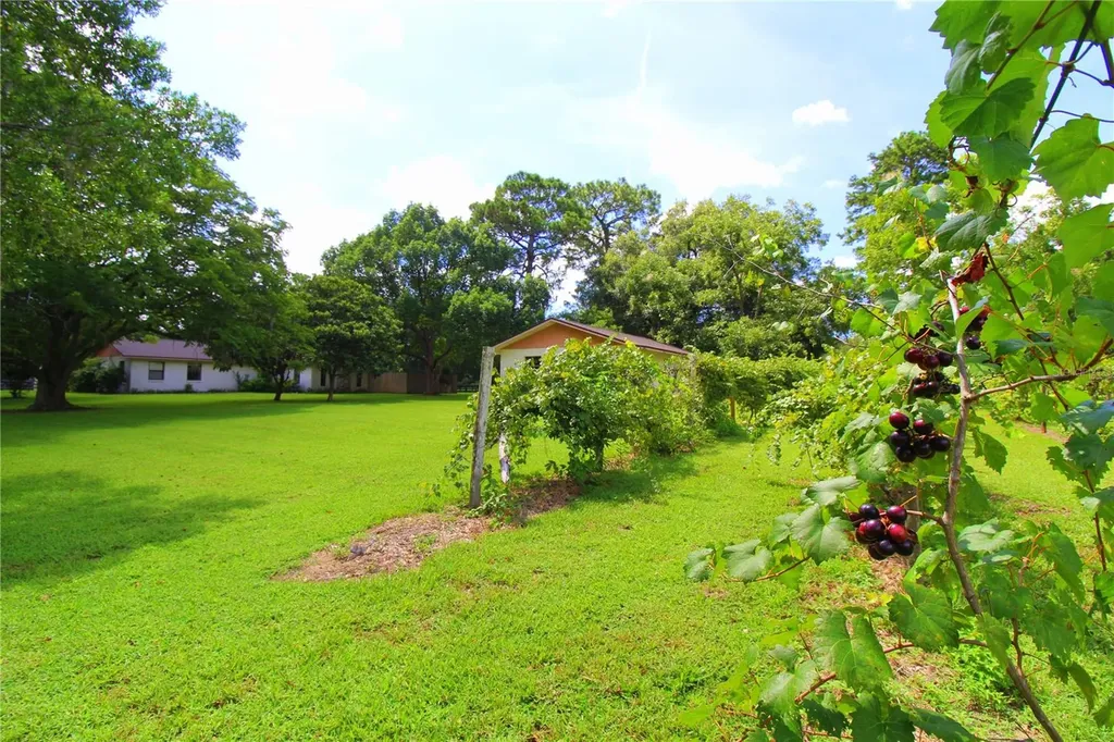 8440 SW 73rd Avenue Ocala FL 34476