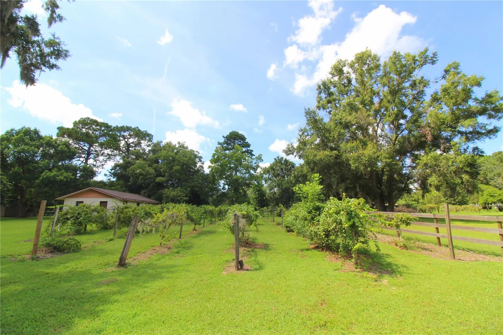 8440 SW 73rd Avenue Ocala FL 34476