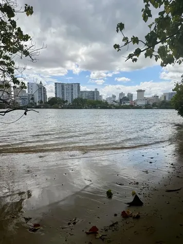 Condominio Flamboyán 864 Avenida Ashford San Juan PR 00907