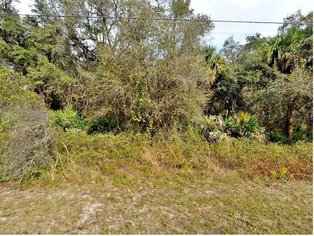 Fling Avenue North Port FL 34291