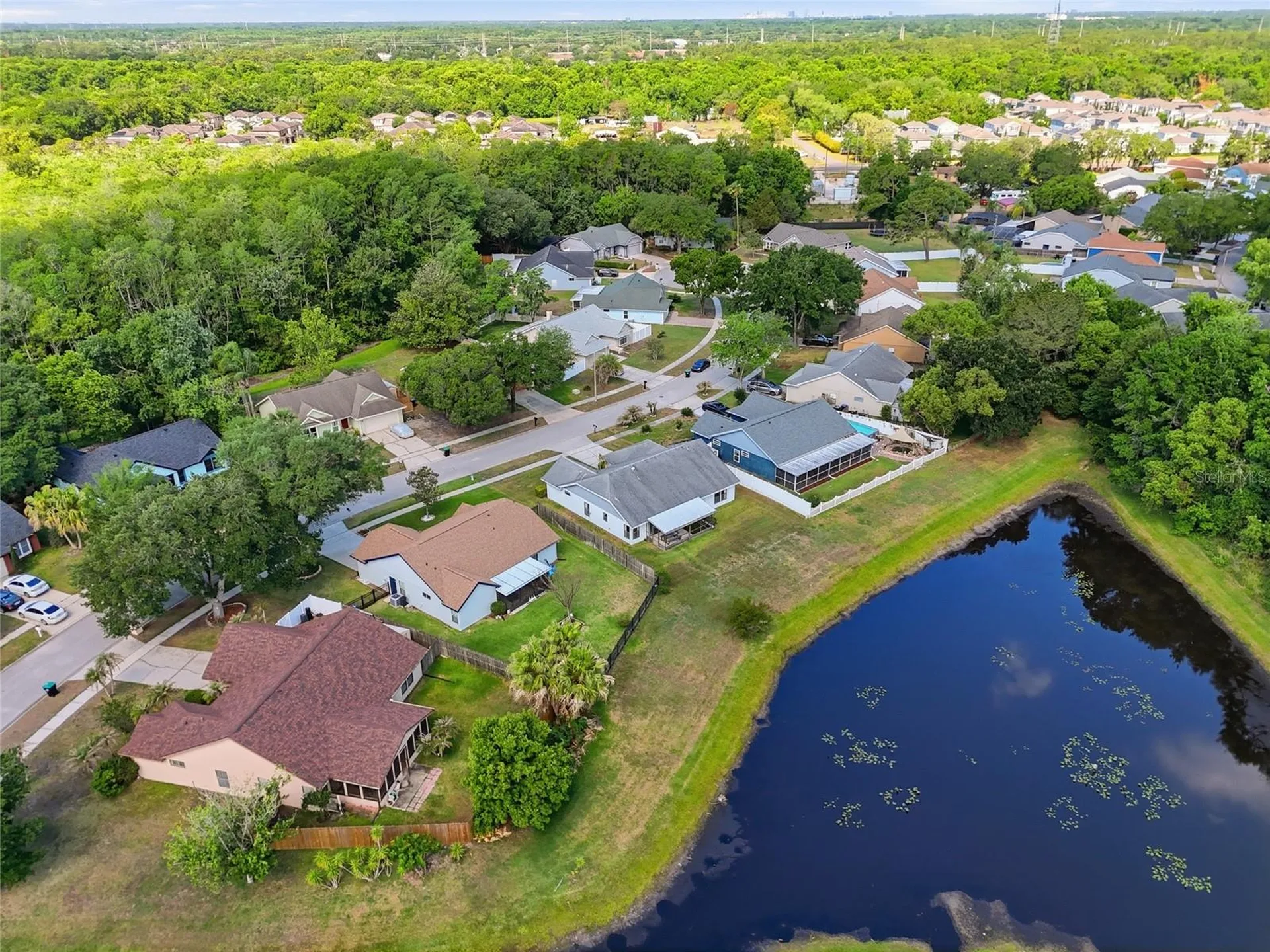 10137 Pink Carnation Court Orlando FL 32825