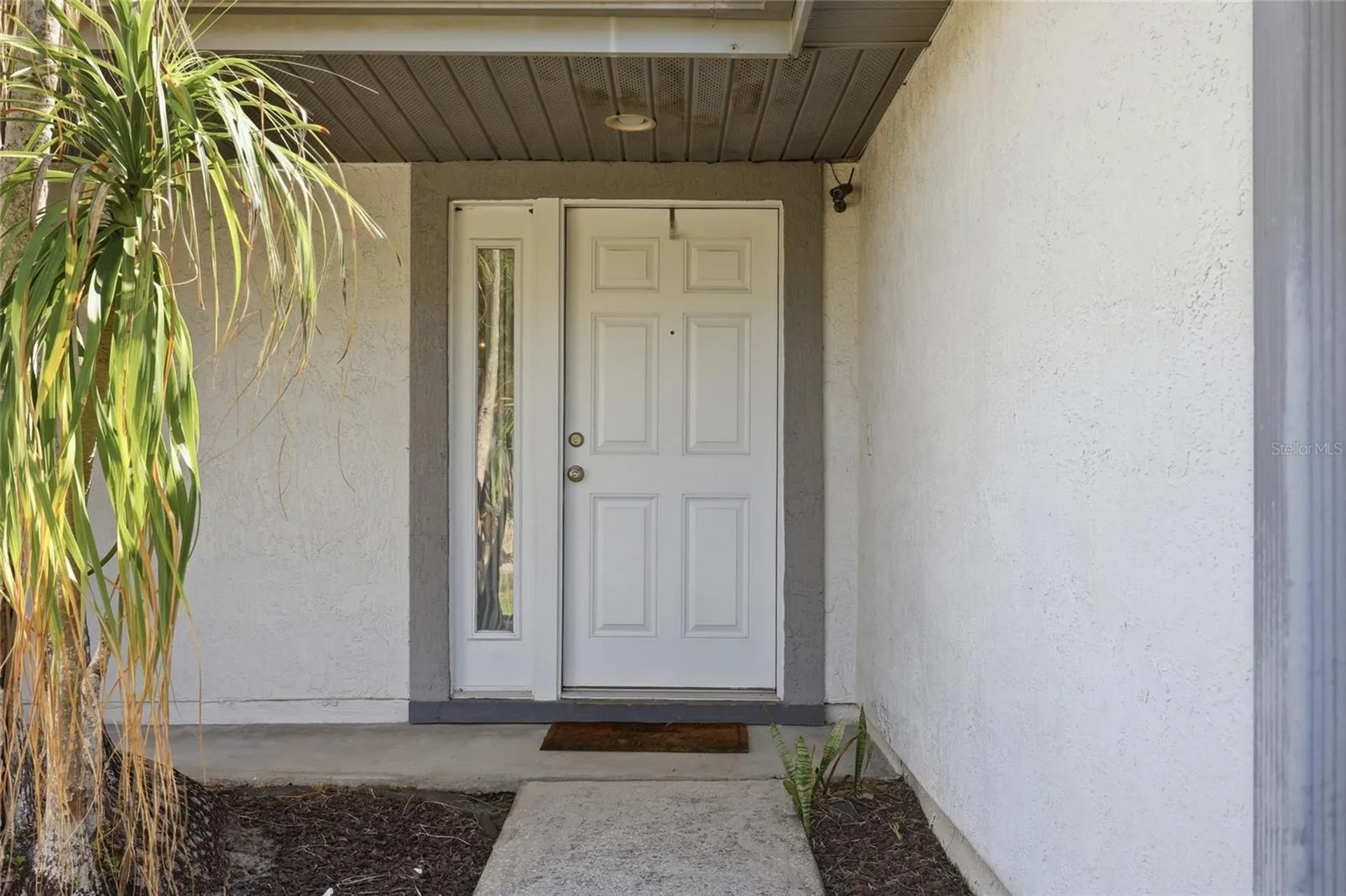 10137 Pink Carnation Court Orlando FL 32825