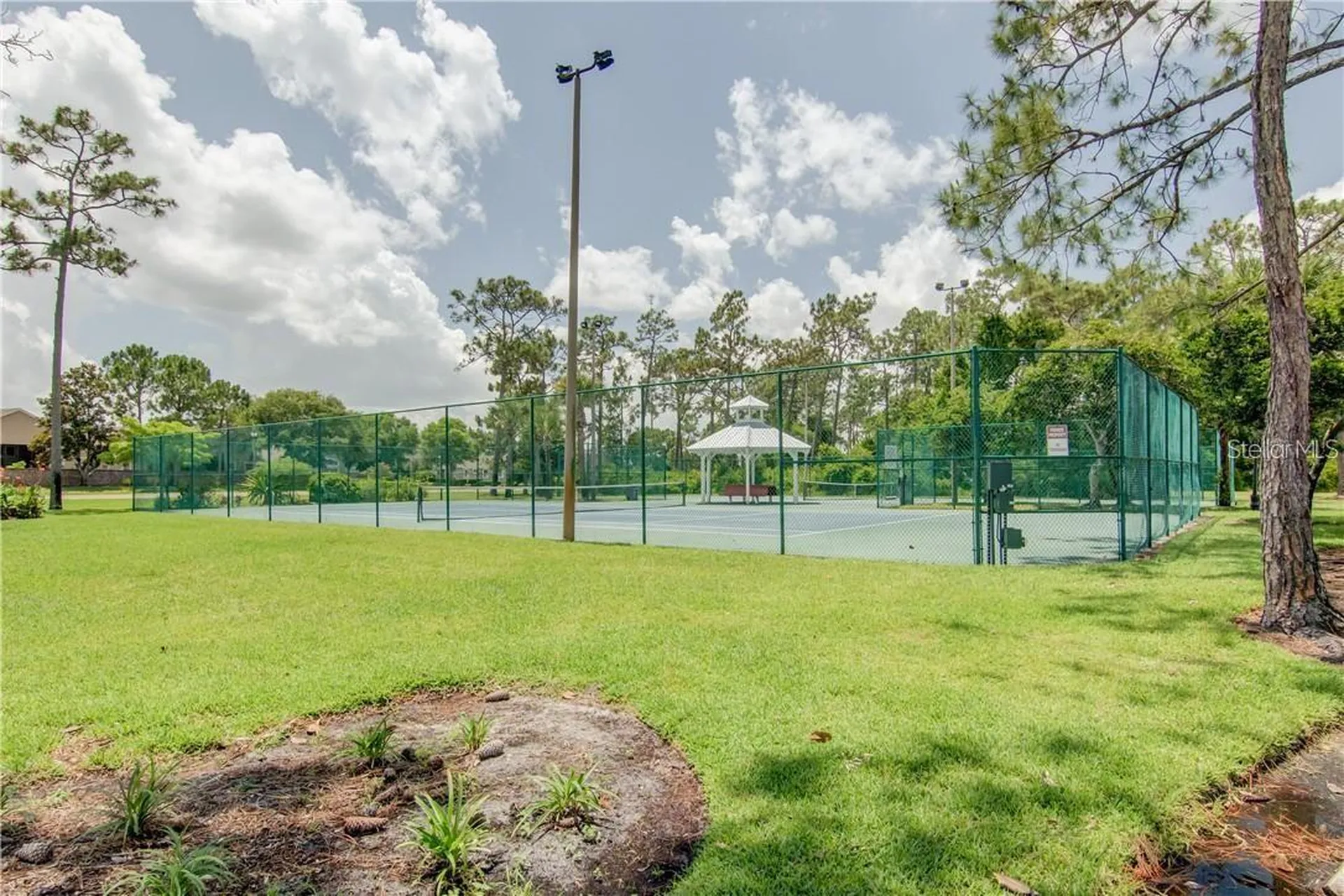 10137 Pink Carnation Court Orlando FL 32825