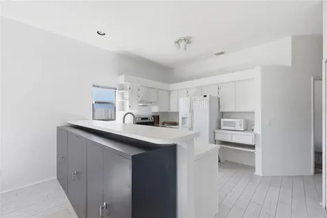 10137 Pink Carnation Court Orlando FL 32825