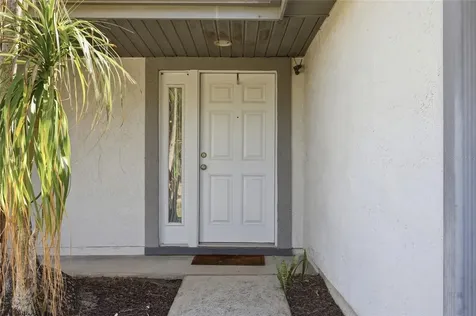 10137 Pink Carnation Court Orlando FL 32825