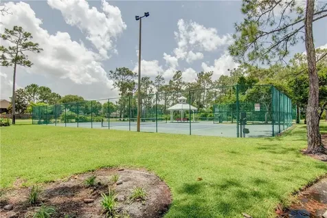 10137 Pink Carnation Court Orlando FL 32825
