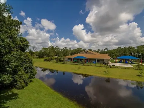 10137 Pink Carnation Court Orlando FL 32825