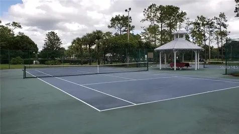 10137 Pink Carnation Court Orlando FL 32825