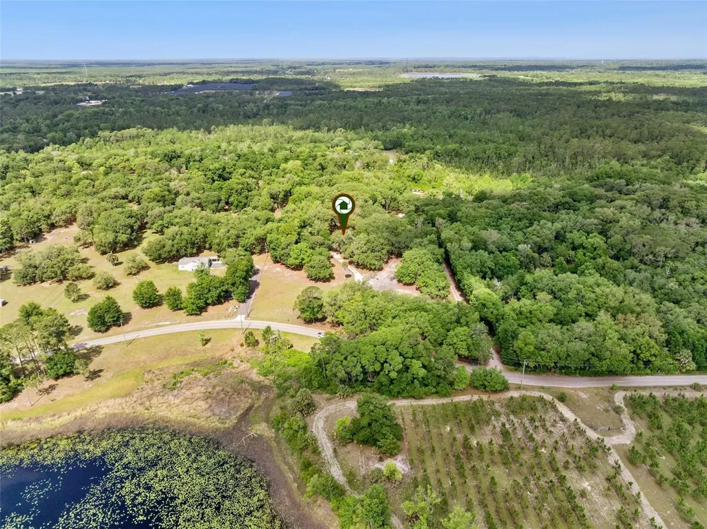 1142 Buckles Road Pierson FL 32180