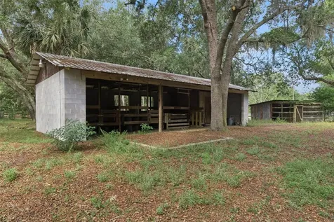 1142 Buckles Road Pierson FL 32180