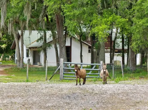 1142 Buckles Road Pierson FL 32180