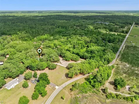 1142 Buckles Road Pierson FL 32180