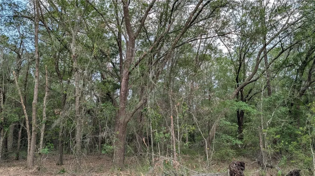 Tbd NE 108th Place Waldo FL 32694