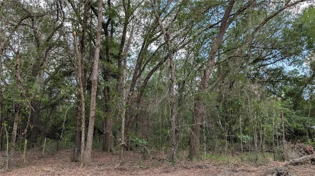 Tbd NE 108th Place Waldo FL 32694