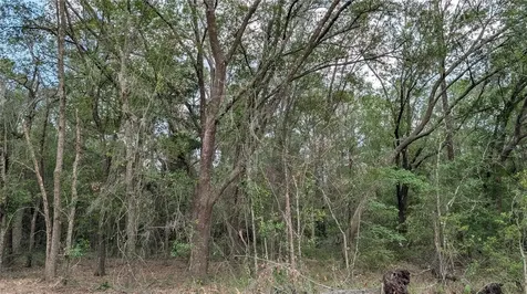 Tbd NE 108th Place Waldo FL 32694