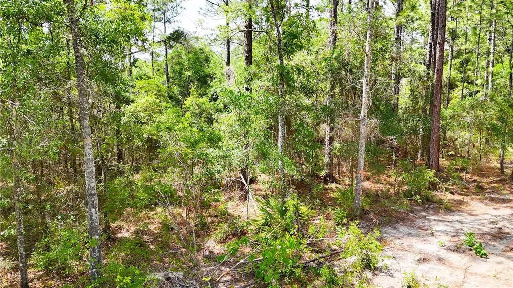 0 Windhaven Lane Brooksville FL 34614