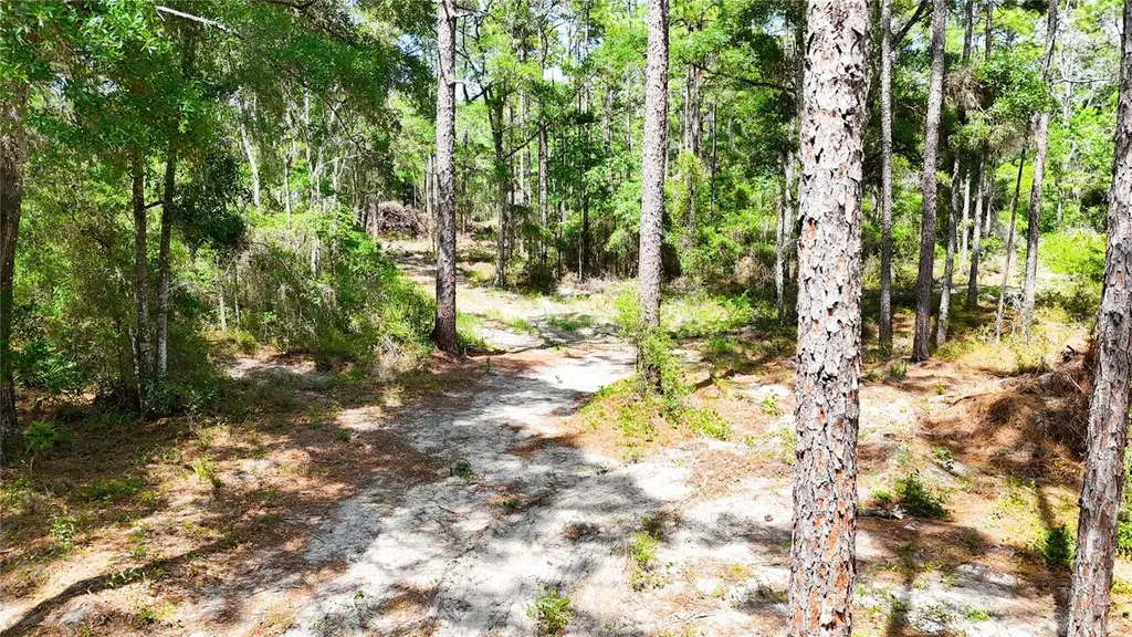 0 Windhaven Lane Brooksville FL 34614