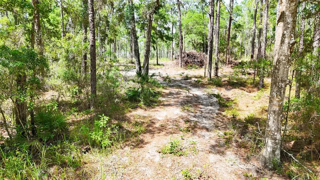 0 Windhaven Lane Brooksville FL 34614