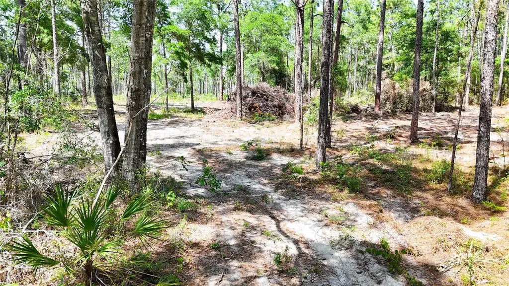 0 Windhaven Lane Brooksville FL 34614