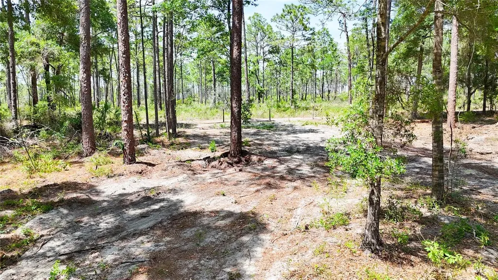 0 Windhaven Lane Brooksville FL 34614