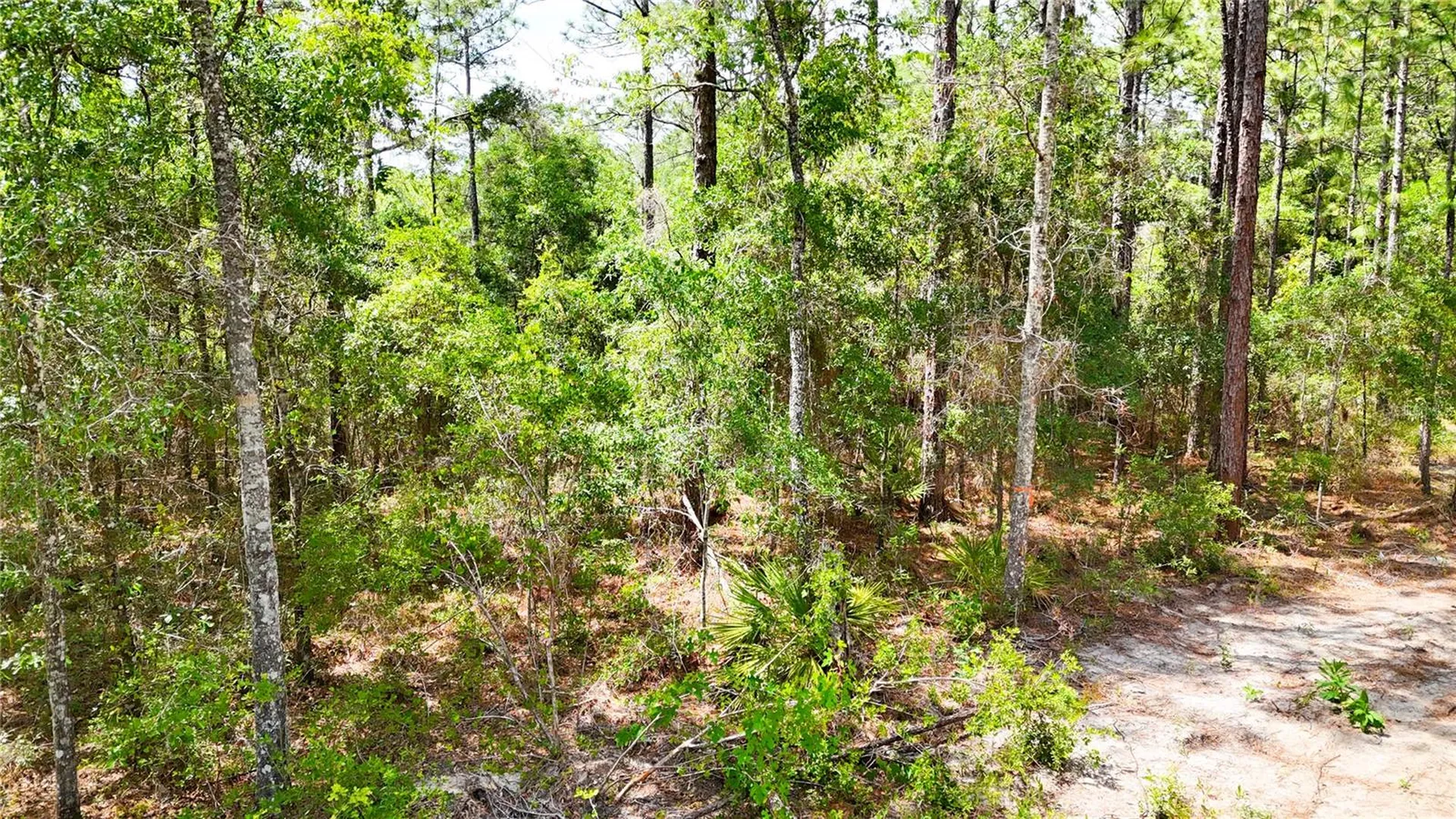 0 Windhaven Lane Brooksville FL 34614