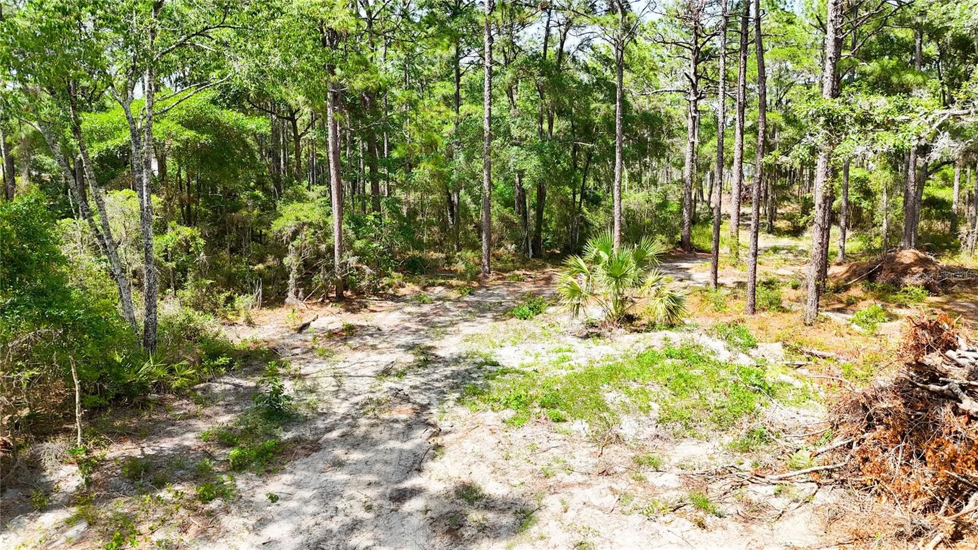 0 Windhaven Lane Brooksville FL 34614