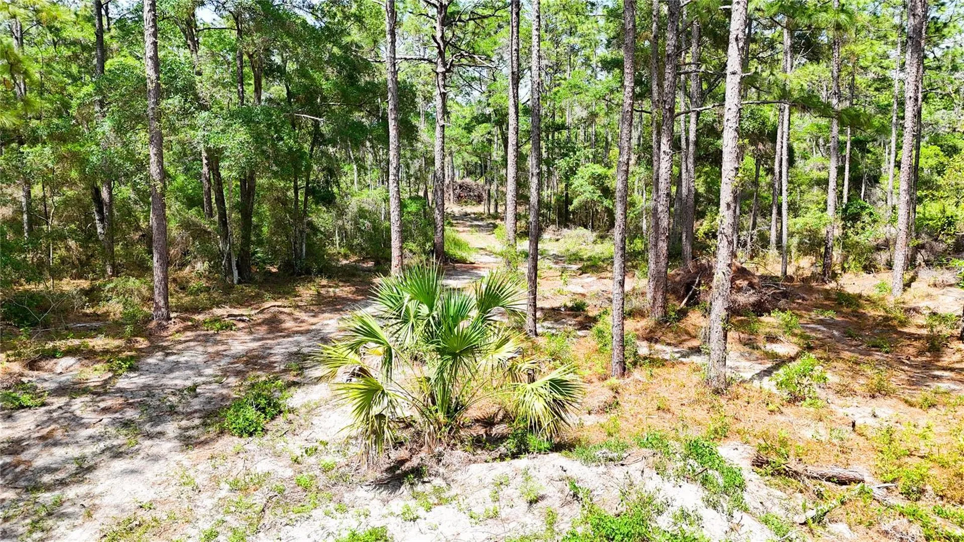 0 Windhaven Lane Brooksville FL 34614