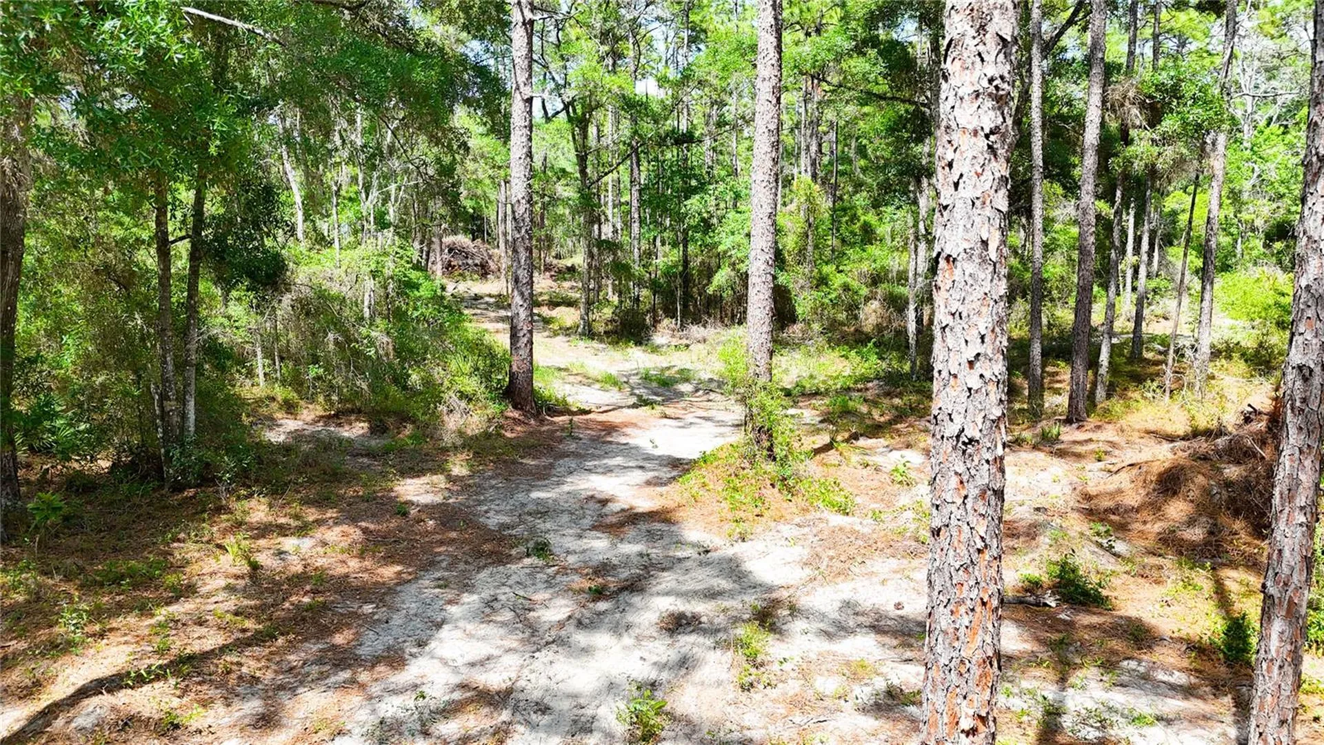0 Windhaven Lane Brooksville FL 34614