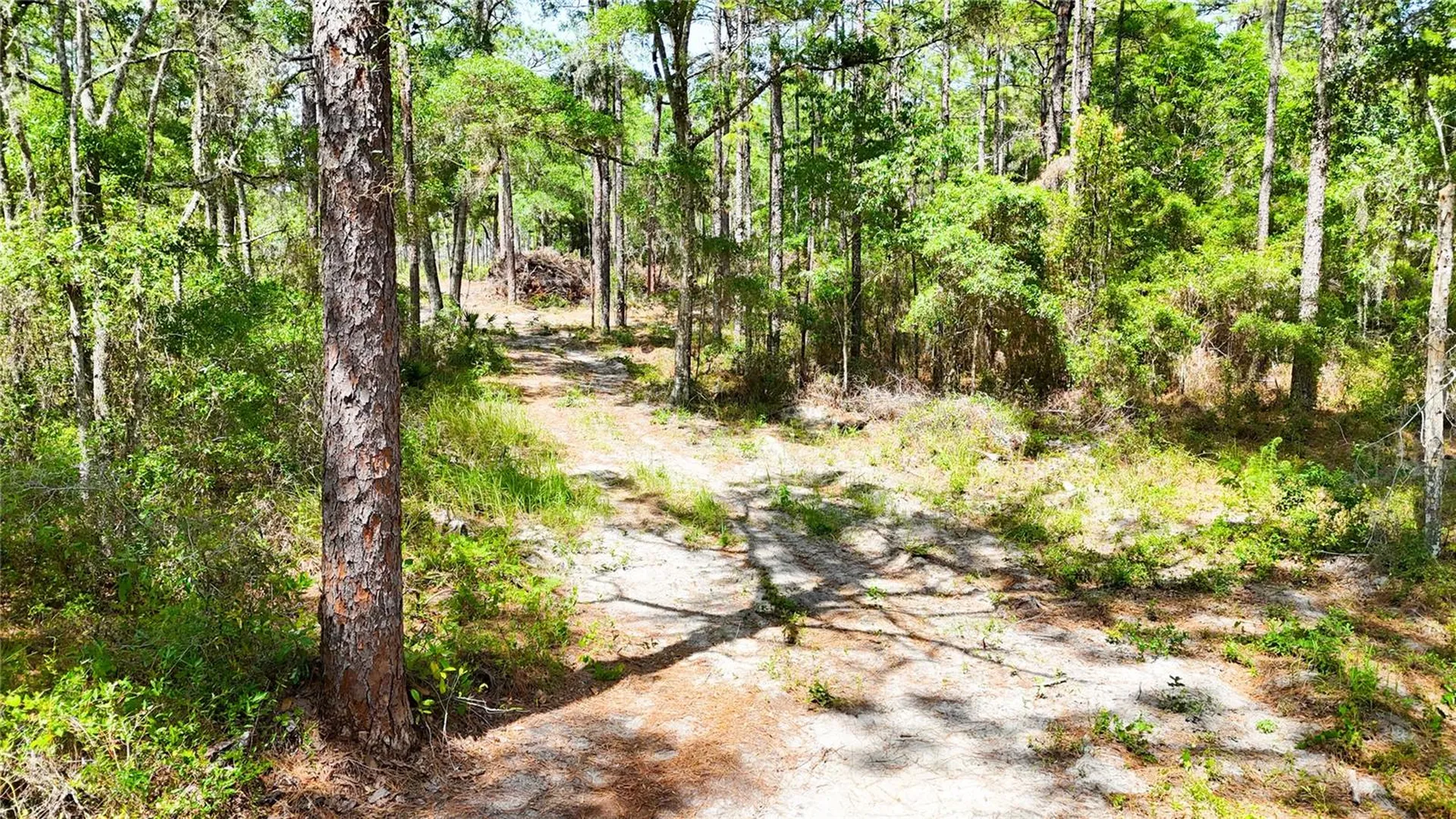 0 Windhaven Lane Brooksville FL 34614