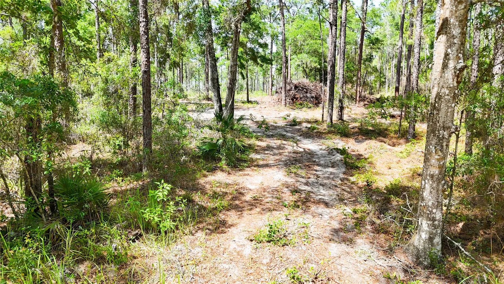 0 Windhaven Lane Brooksville FL 34614