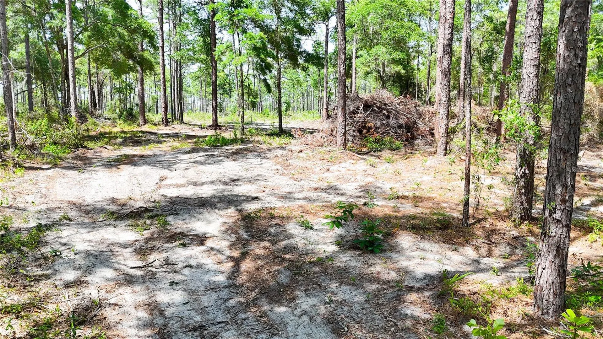 0 Windhaven Lane Brooksville FL 34614
