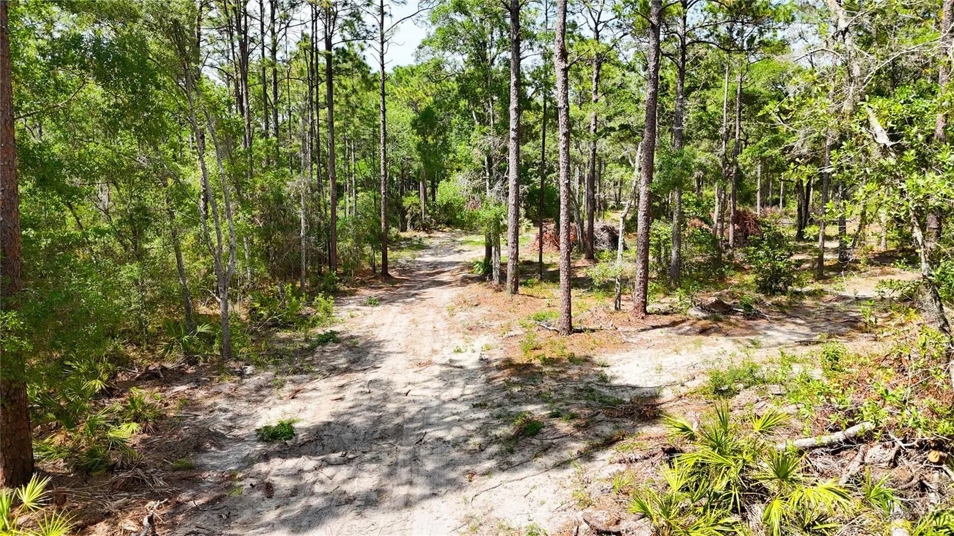 0 Windhaven Lane Brooksville FL 34614