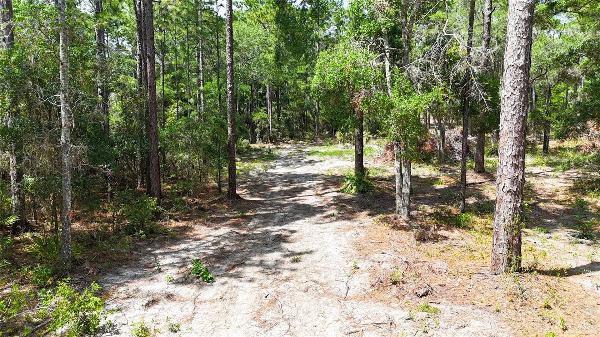 0 Windhaven Lane Brooksville FL 34614