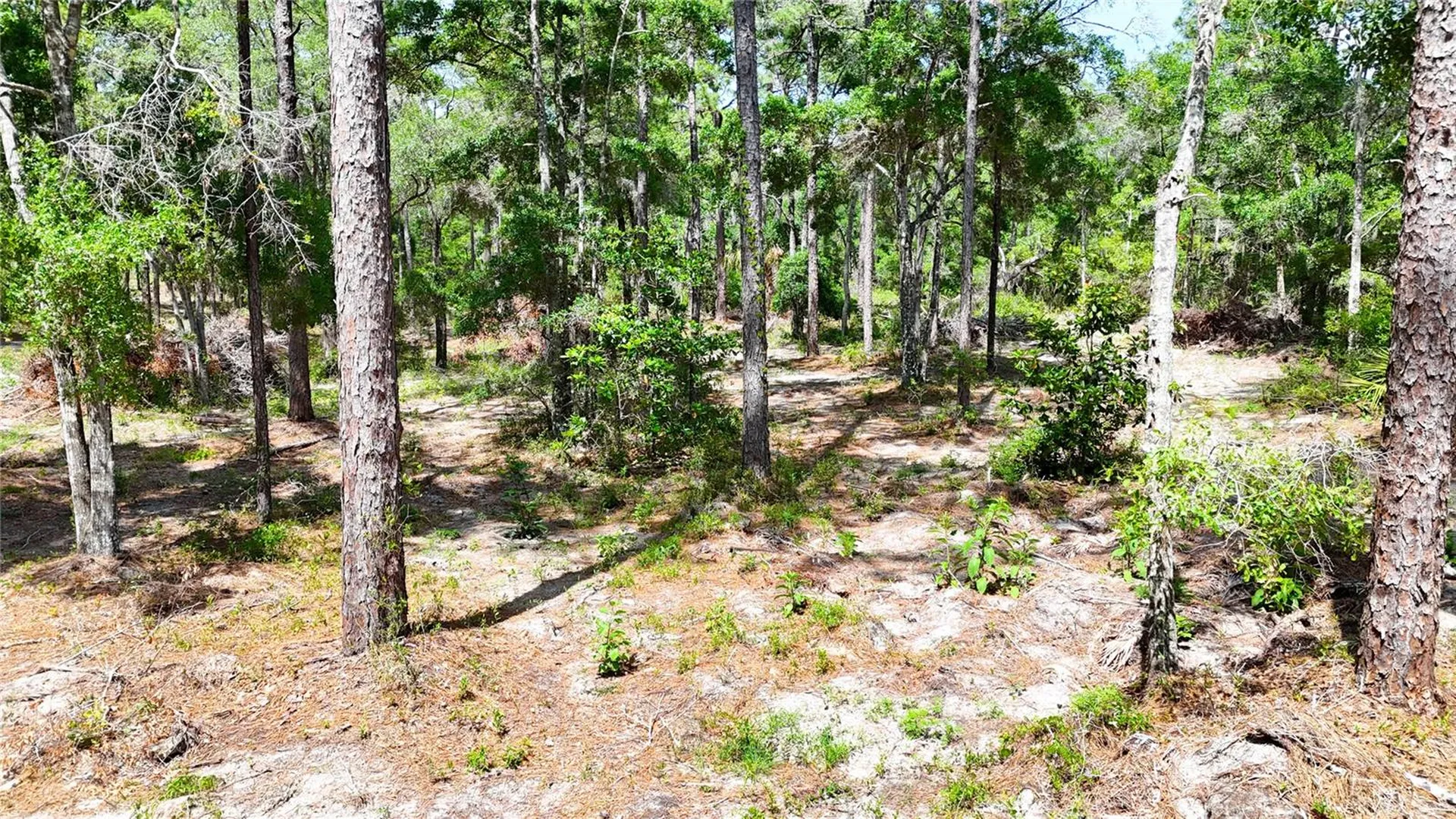 0 Windhaven Lane Brooksville FL 34614