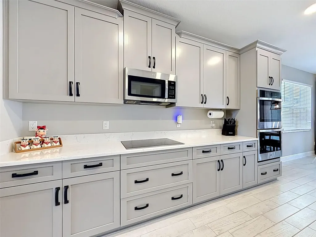 33163 Sycamore Leaf Drive Wesley Chapel FL 33545