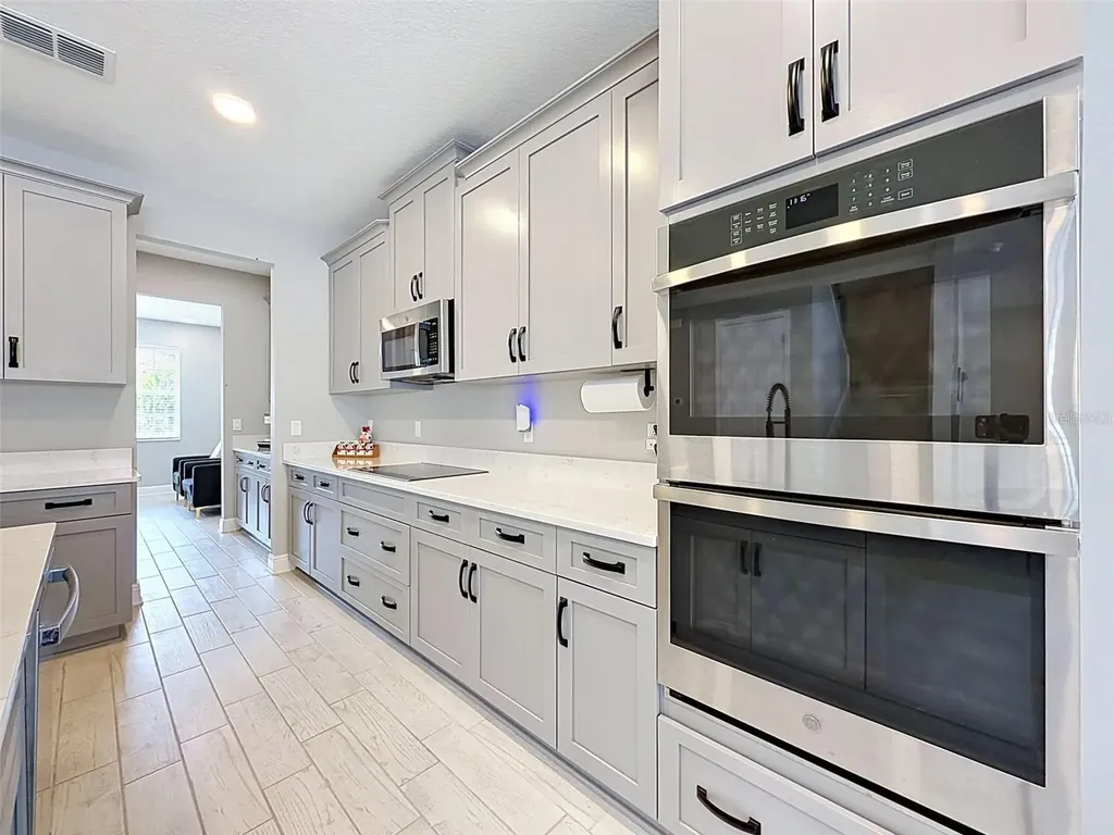 33163 Sycamore Leaf Drive Wesley Chapel FL 33545