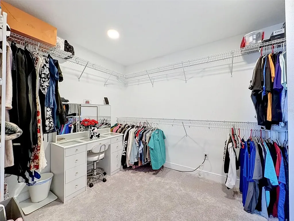 33163 Sycamore Leaf Drive Wesley Chapel FL 33545
