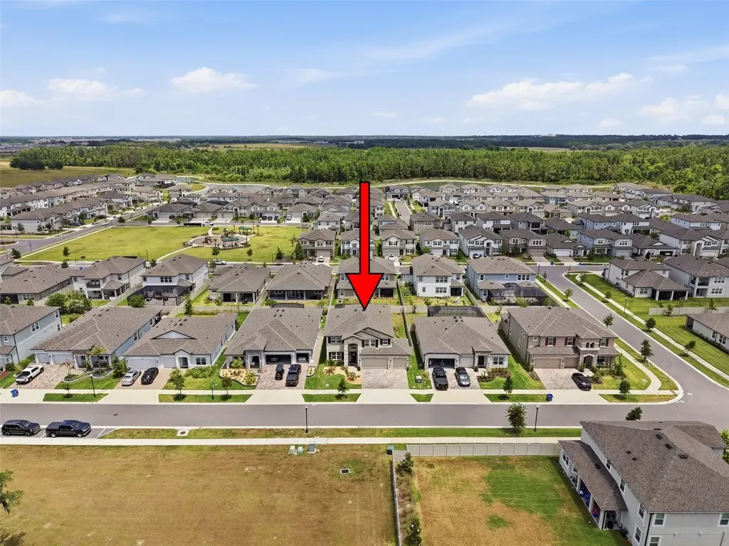33163 Sycamore Leaf Drive Wesley Chapel FL 33545