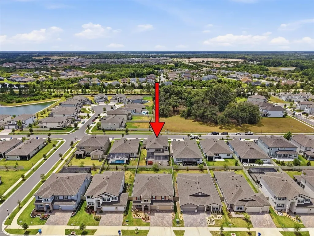 33163 Sycamore Leaf Drive Wesley Chapel FL 33545