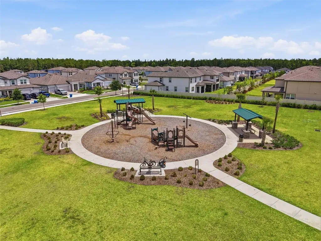 33163 Sycamore Leaf Drive Wesley Chapel FL 33545