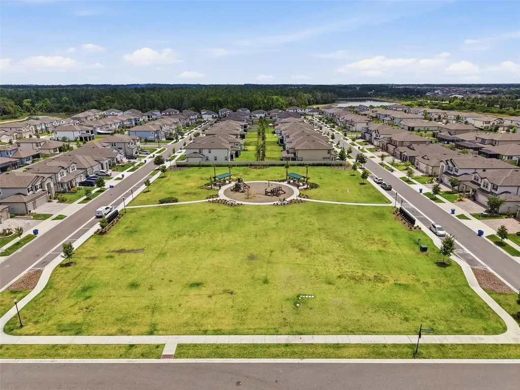33163 Sycamore Leaf Drive Wesley Chapel FL 33545